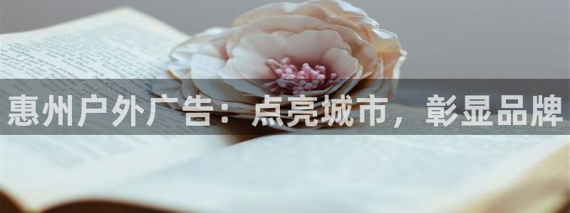 杏宇平台总代理是谁