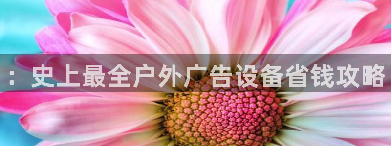 杏宇平台登录方法