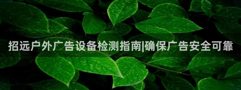杏宇平台代理怎么样可靠吗