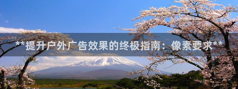 杏宇平台代理多少钱一个