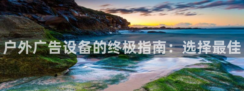 杏宇平台主管