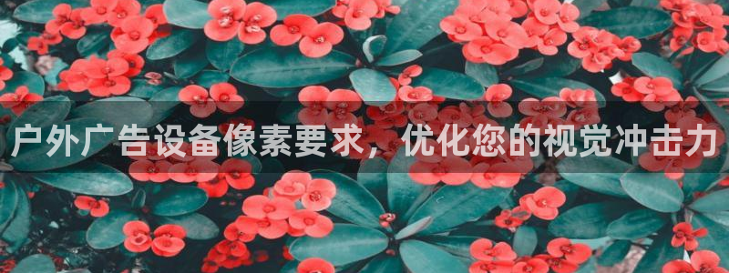 杏宇代理注册