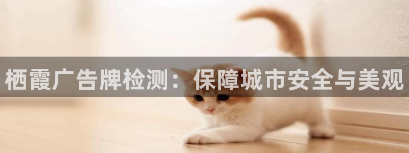 杏宇平台注册登录