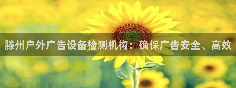 杏宇平台招商