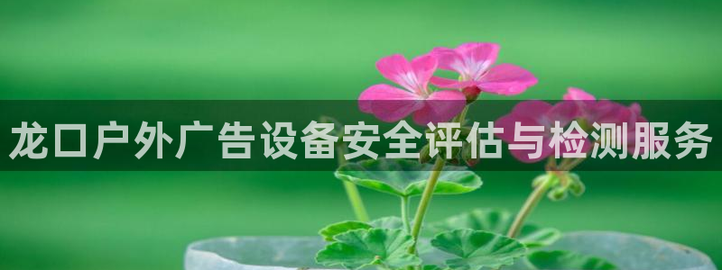 杏宇平台提现为什么这么久呢