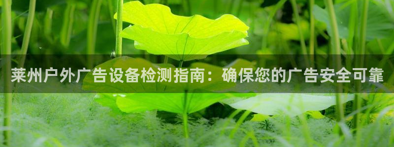 杏宇平台官网注册
