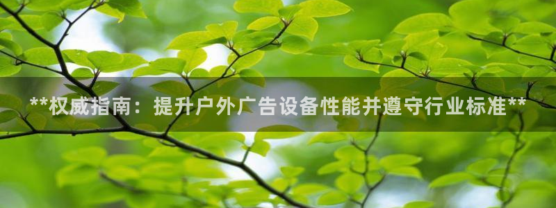 杏宇平台注册登录