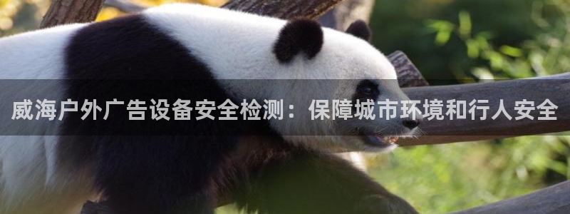 杏宇平台代理多少钱