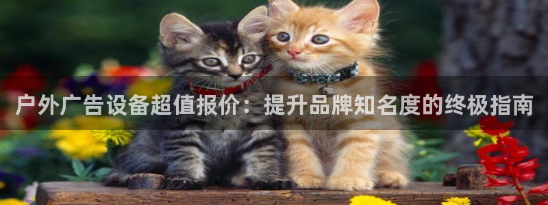 杏宇平台开户