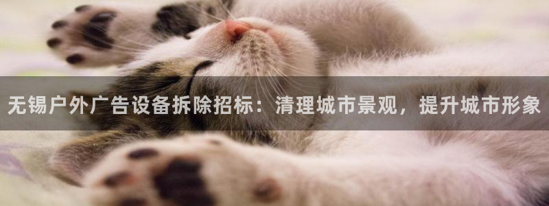 杏宇平台代理怎么样啊