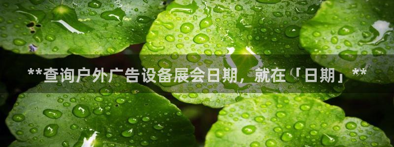 杏宇平台代理怎么赚钱