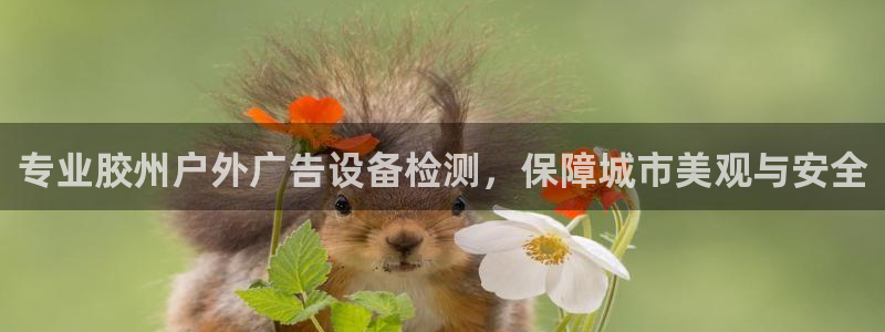 杏宇平台登陆