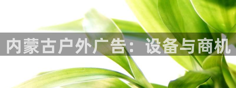 杏宇平台注册地址在哪里