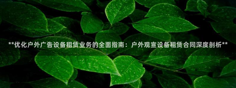 杏宇平台代理怎么样可靠吗