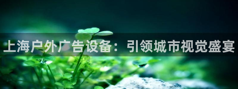 杏宇平台代理多少钱一次