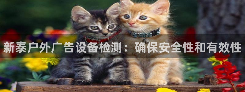 杏宇官方平台官网