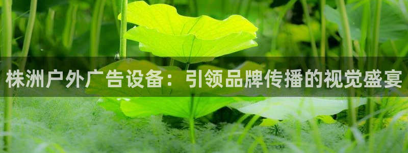 杏宇平台怎么样