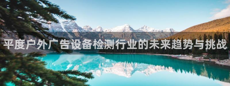 杏宇平台总代理是谁：平度户外广告设备检测