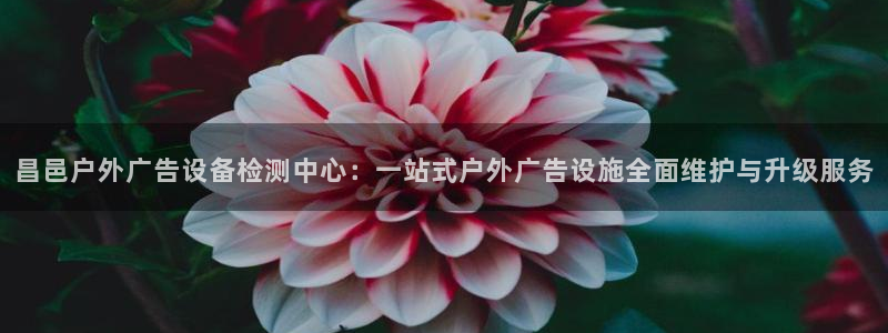 杏宇平台代理怎么样赚钱：昌邑户外广告设备