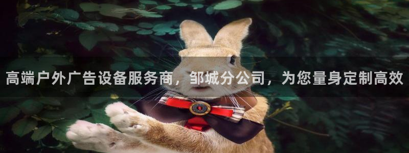 杏宇平台招商怎么样：高端户外广告设备服务商，邹城分公司，为您量身定制高效