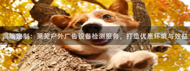 杏宇平台注册地址在哪里：高端定制：莱芜户