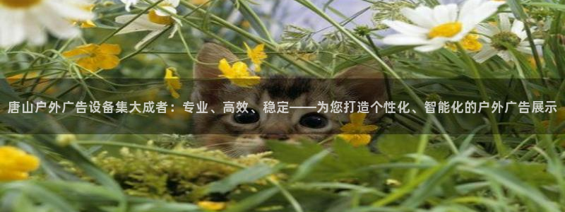 杏宇平台好吗：唐山户外广告设备集大成者：