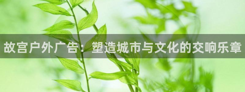 杏宇平台登录方法：故宫户外广告：塑造城市