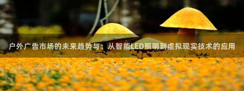 杏宇平台代理怎么赚钱：户外广告市场的未来