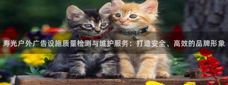 杏宇平台代理怎么赚钱的：寿光户外广告设施