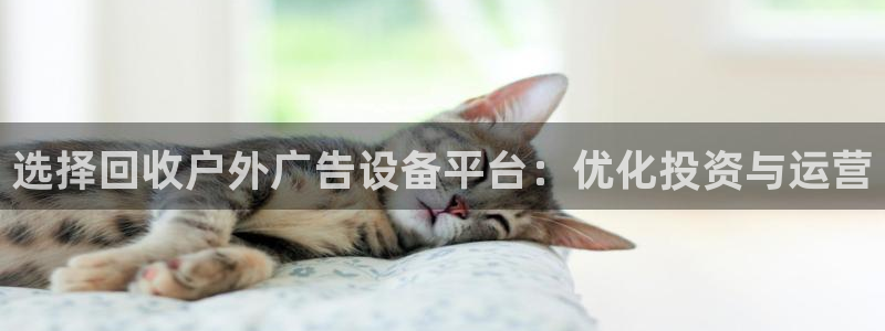 杏宇平台怎么样