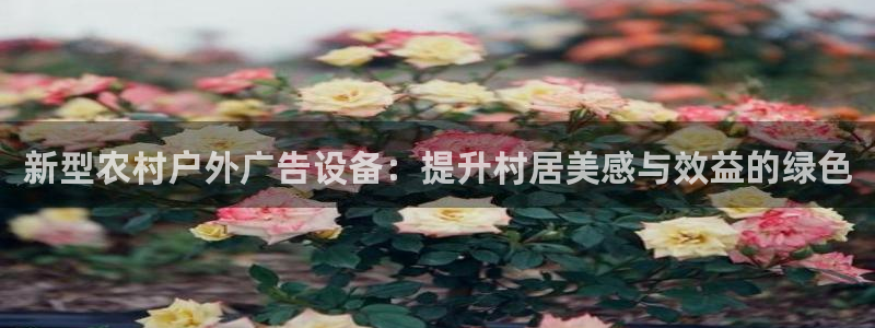 杏宇平台怎么样知乎：新型农村户外广告设备