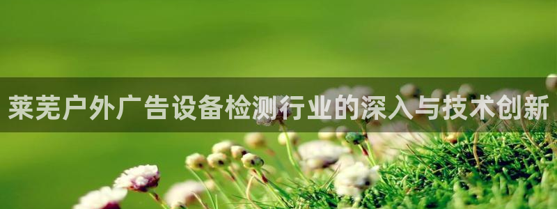 杏宇平台测速链接：莱芜户外广告设备检测行