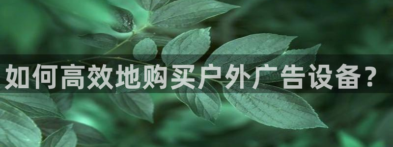 杏宇平台代理怎么样啊：如何高效地购买户外