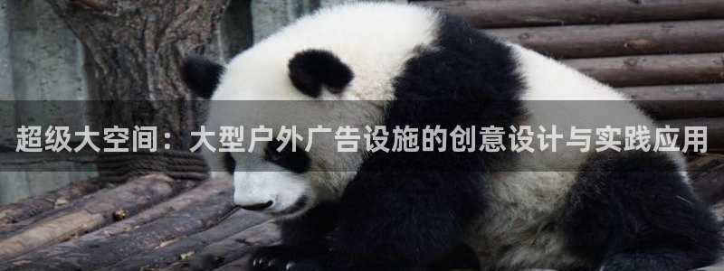 杏宇平台总代理是谁：超级大空间：大型户外