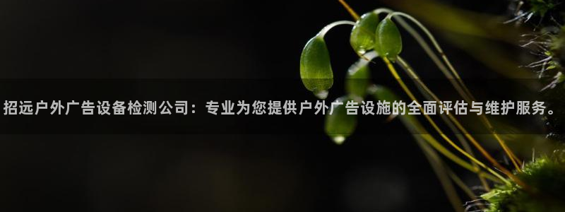 杏宇官方平台官网：招远户外广告设备检测公