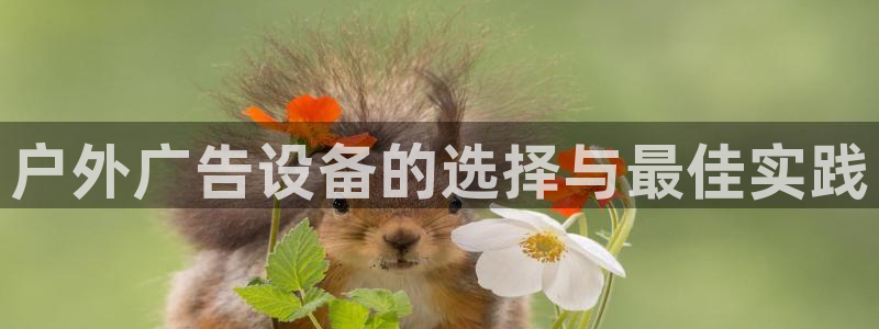 杏宇平台代理多少钱：户外广告设备的选择与