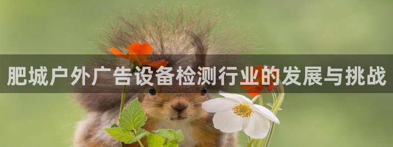 杏宇平台代理怎么赚钱：肥城户外广告设备检测行业的发展与挑战