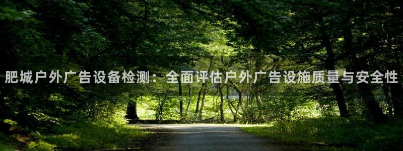 杏宇平台注册登录：肥城户外广告设备检测：全面评估户外广告设施质量与安全性