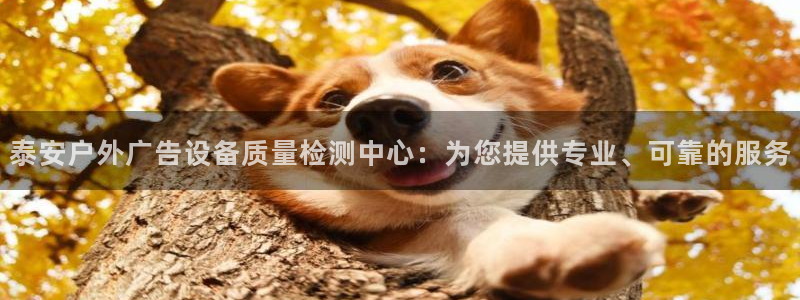 杏宇官方平台官网下载：泰安户外广告设备质量检测中心：为您提供专业、可靠的服务