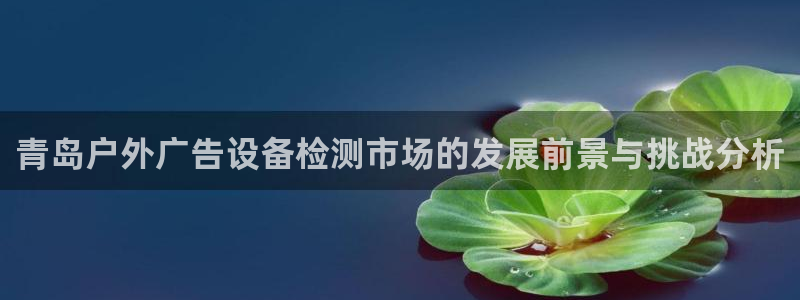 杏宇平台代理：青岛户外广告设备检测市场的发展前景与挑战分析