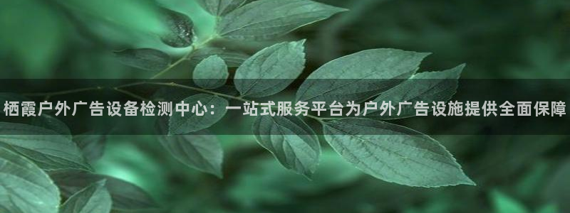 杏宇平台代理怎么样赚钱：栖霞户外广告设备检测中心：一站式服务平台为户外广告设施提供全面保障