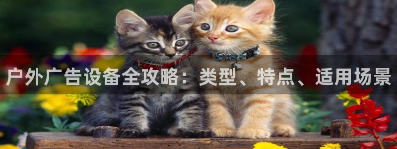 杏宇平台总代理