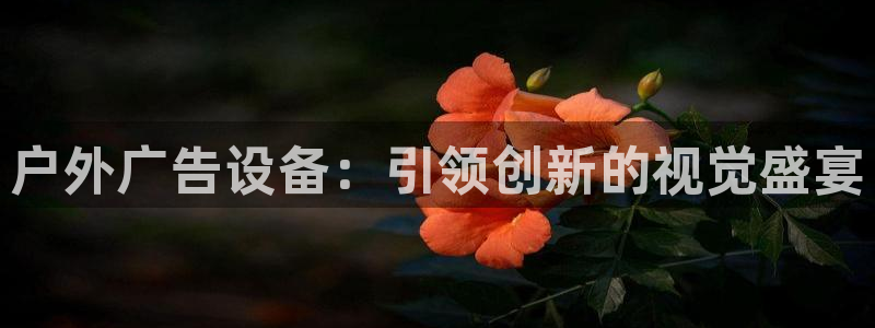 杏宇平台好吗：户外广告设备：引领创新的视