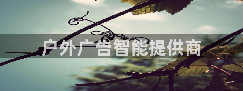 杏宇官方平台官网：户外广告智能提供商