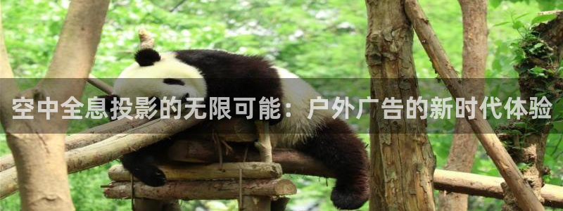 杏宇平台代理多少钱一次：空中全息投影的无