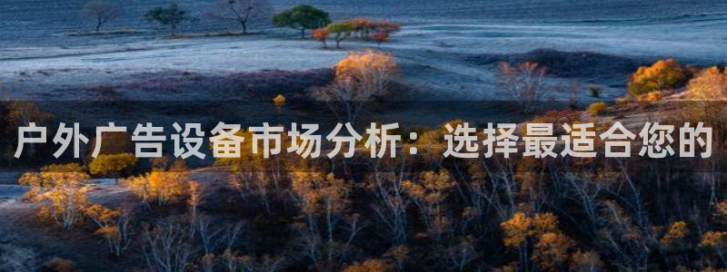 杏宇平台客服：户外广告设备市场分析：选择