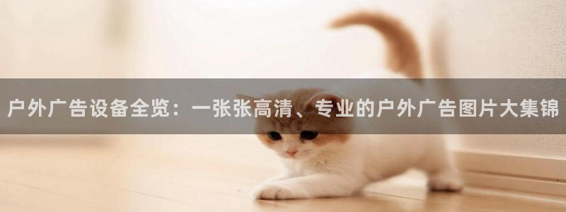 杏宇平台代理怎么赚钱快：户外广告设备全览