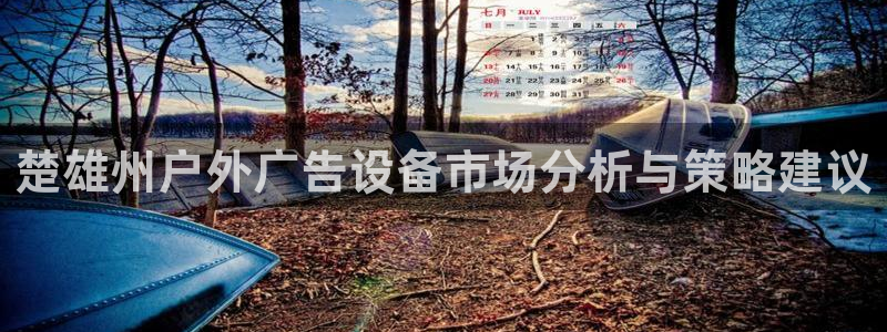 杏宇平台代理怎么赚钱：楚雄州户外广告设备