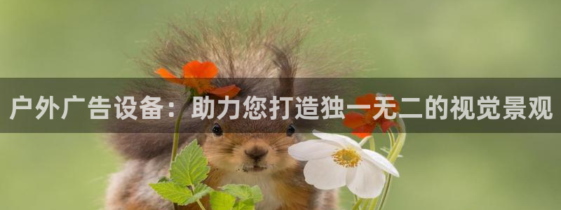 杏宇平台客服：户外广告设备：助力您打造独