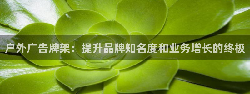 杏宇平台代理怎么赚钱的